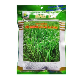 Hạt Giống Cỏ Sả lá lớn 100g