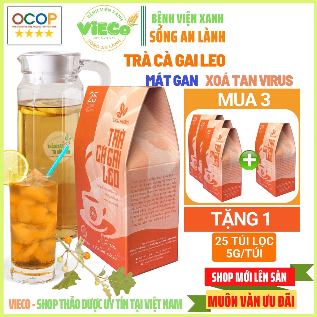 Trà Túi Lọc Cà Gai Leo THÁI HƯNG Giải Độc Gan - Trà Thảo Dược Mát Gan 25 Gói Trà Túi Lọc Tiện Lợi 125G ViECo