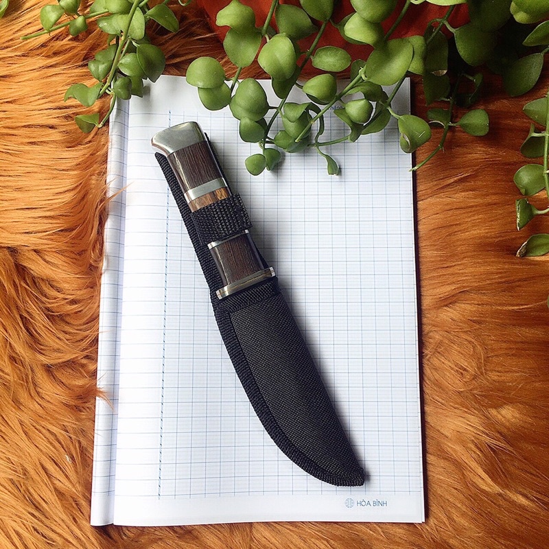 Dao gọt hoa quả có bao đựng, dài 22cm, dày 2.5 li, cán gỗ, không rỉ