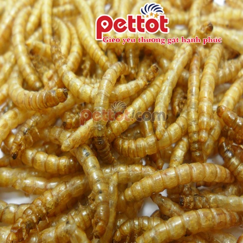 Sâu khô rang bơ Size trung cho Hamster, Sóc, Nhím 1KG