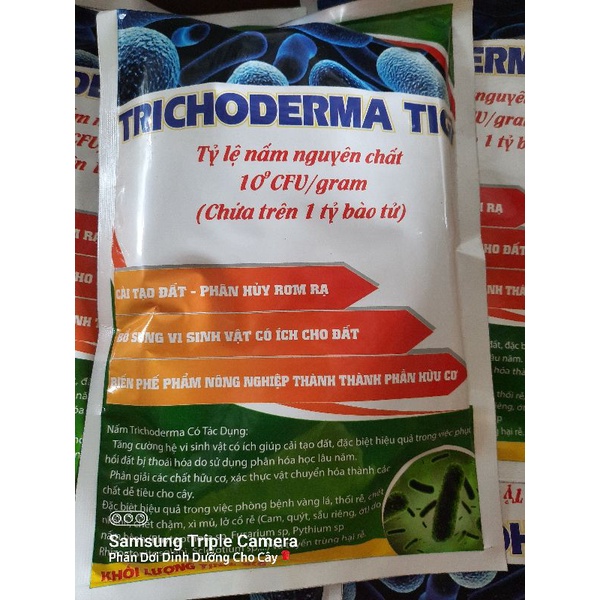 Nấm đối kháng Trichoderma ủ Phân Bón