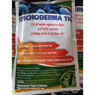 Nấm đối kháng Trichoderma ủ Phân Bón