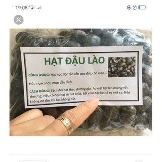 Hạt đậu Lào hút độc (1 hạt giá dùng thử)