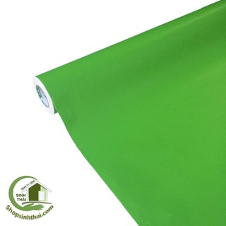 Giấy dán tường màu xanh, decal dán tường màu xanh, giấy dán màu trơn