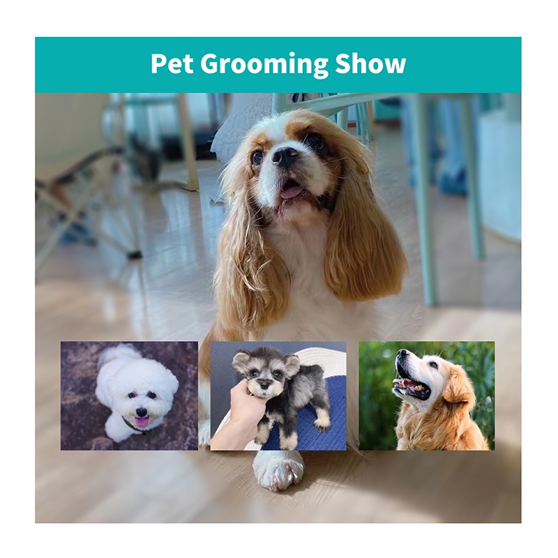 Kéo Cắt Tỉa Lông Thú Cưng Cầm Tay Trái 7 inch