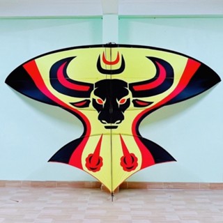 Diều Sáo Lắp Nghép Cacbon ,Hình Đầu Trâu Diều Sáo Đep, Đủ Kích Thước