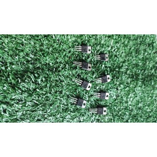 Combo 5 con tyn1225 - hàng tháo máy xịn chân dài