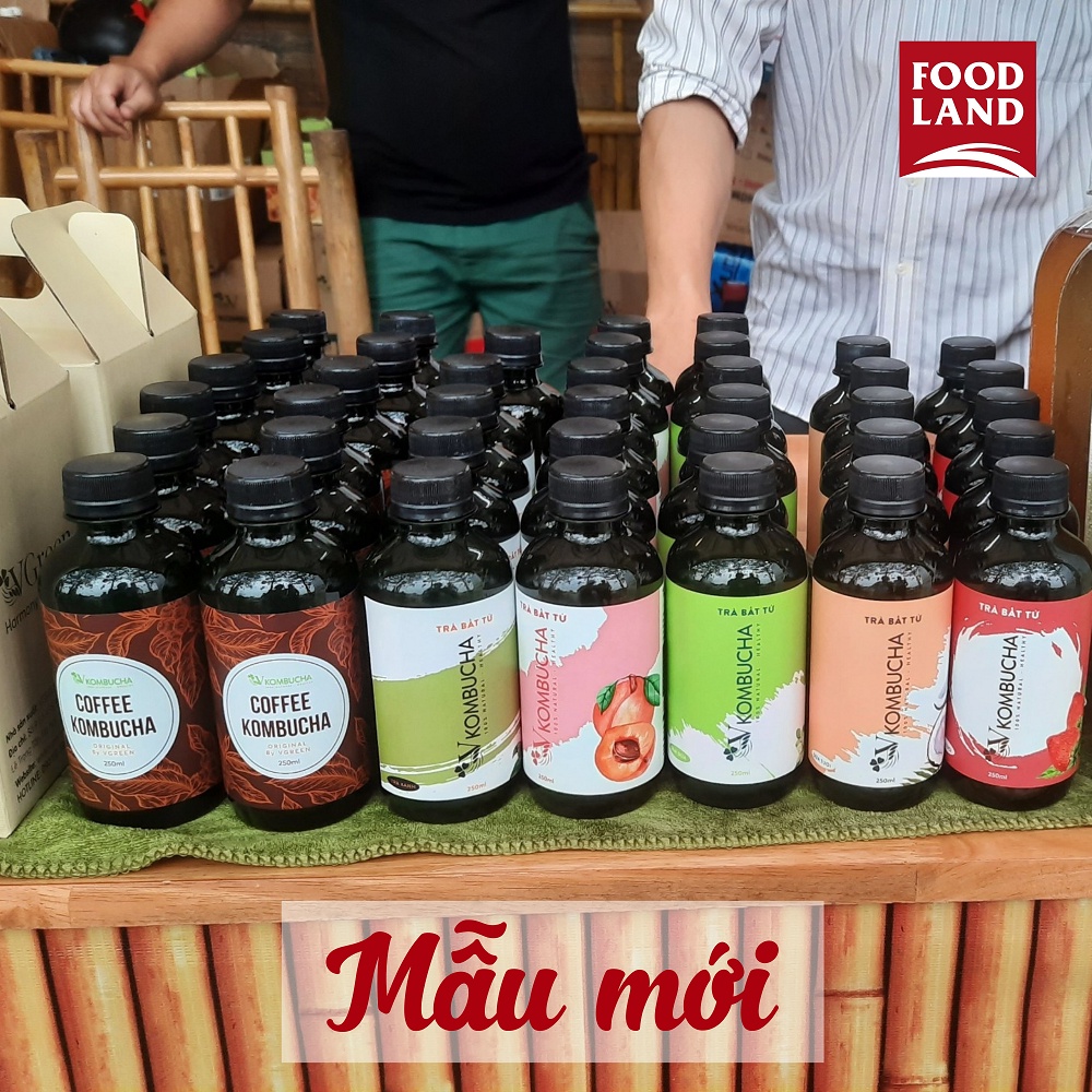 Trà Bất Tử Kombucha Đào, Sâm Dứa, Trà Xanh, Dâu, Dừa, Coffee 250ML -  Trà hoa quả lên men con giống scoby - Foodland