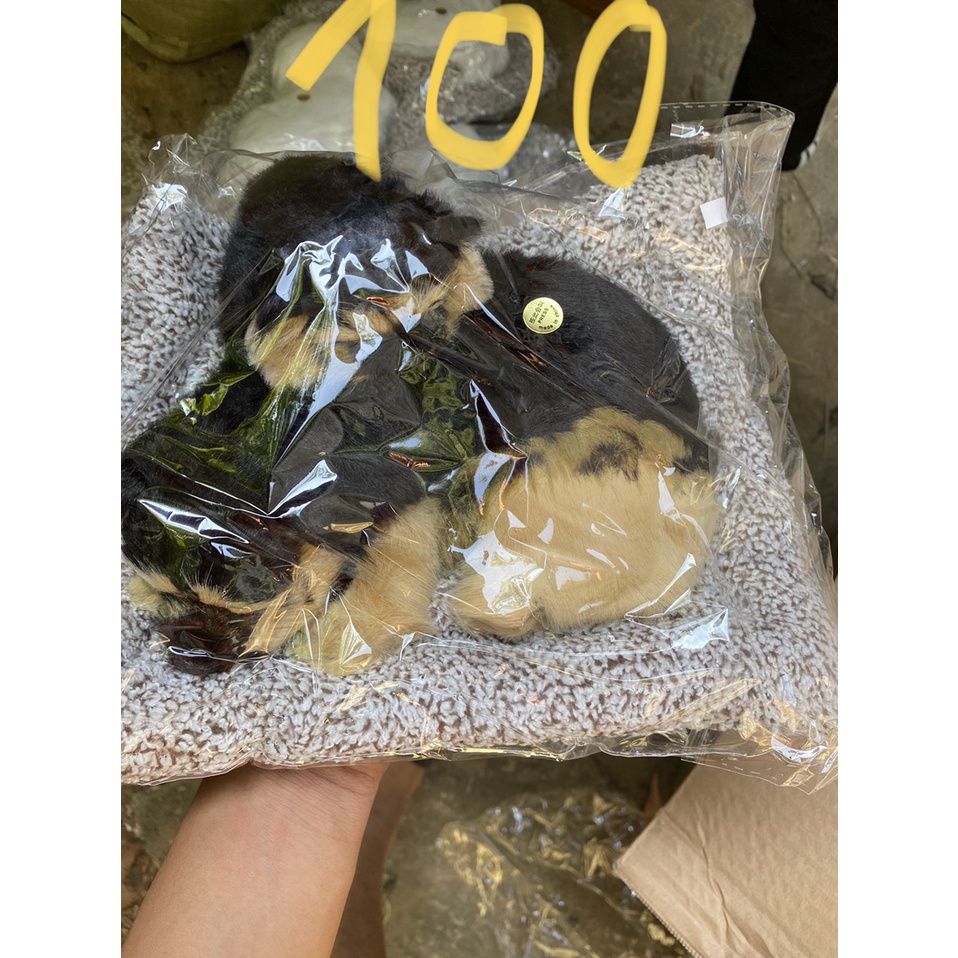 Mẹ Con Thú bông GIỐNG THẬT 99% chó mèo sói gấu lõi than hoạt tính lọc không khí khử mùi trang trí xe hơi