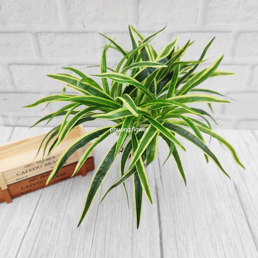 Cụm Cây cỏ Lan Chi giả cỏ nhện loại ngắn 40cm đủ màu giống thật 99% dùng cắm giỏ hoặc trang trí tường cỏ decor ban công