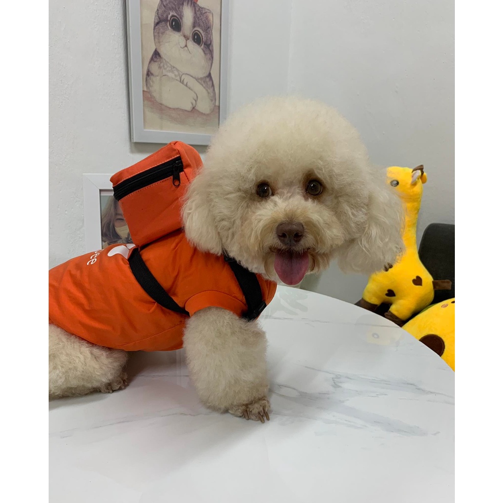 Áo giao hàng cho thú cưng chó mèo ngộ nghĩnh kèm balo