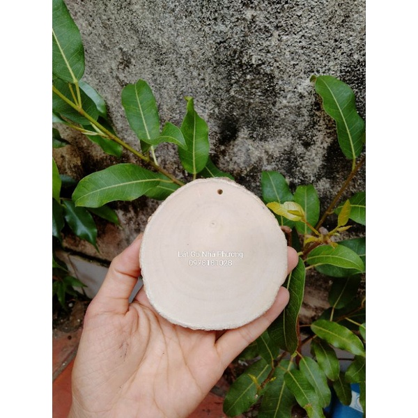 Set 10 lát gỗ 7-8cm