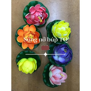 Hoa Sen ,  hoa sứ, thả nước đủ loại