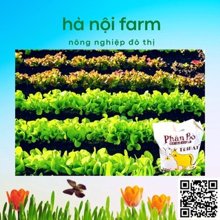 700gr phân bò xử lý hữu cơ