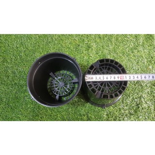 Combo 5 chậu đen trồng lan phi 16cm bít lỗ.