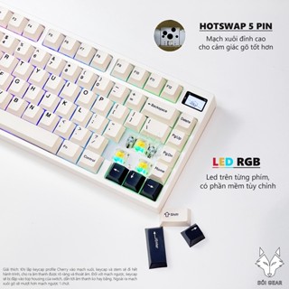 KIT Bàn phím cơ không dây Keydous NJ81 | MẠCH XUÔI | HOTSWAP Led RGB | Type C | Bluetooth 5.0 | Wireless 2.4G