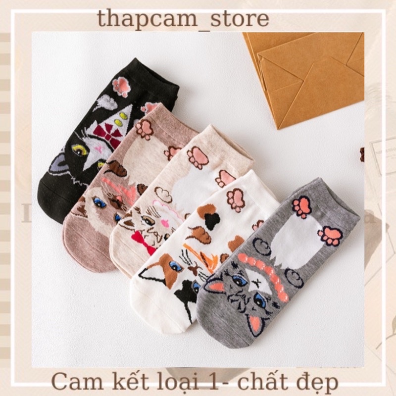 TẤT CỔ NGẮN HOẠ TIẾT MÈO CON