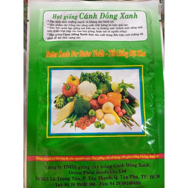 HẠT GIỐNG RAU QUẾ LÁ TO