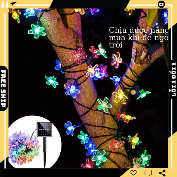 Dây đèn led trang trí năng lượng mặt trời hoa anh đào chống nước 8 chế độ nháy Bobiti 30-50-100 bóng led