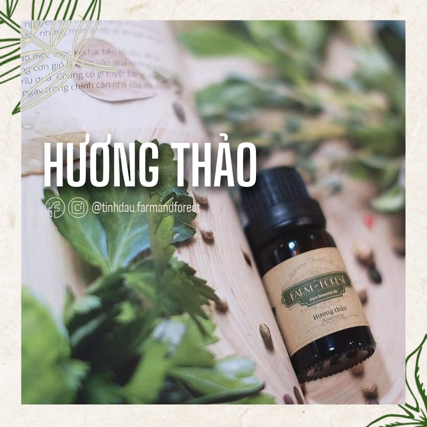 Tinh Dầu Hương Thảo 10ml, Tinh Dầu Thiên Nhiên Nguyên Chất, Farm & Forest, Giảm Nhức Đầu, Cải Thiện Trí Nhớ