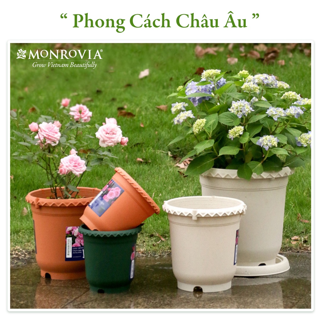 Chậu trồng cây Monrovia chuyên cho hoa hồng, cây cảnh, thiết kế tinh tế, tiêu chuẩn Châu Âu