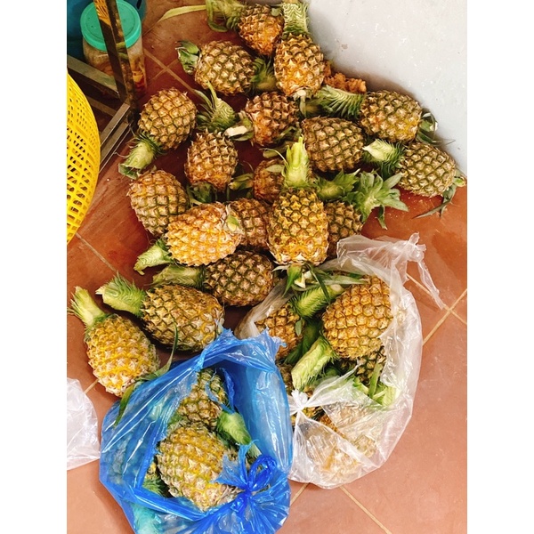 Bánh dứa thơm ngon