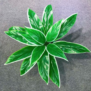 Cây giả trang trí - cây lá dong xanh 50cm, 15 nhánh lá, trang trí nhà cửa cực đẹp - VNG-080-3 (chưa bao gồm chậu)