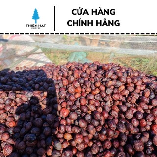 Cà phê hạt rang Ethiopia Guji Kercha nhập khẩu