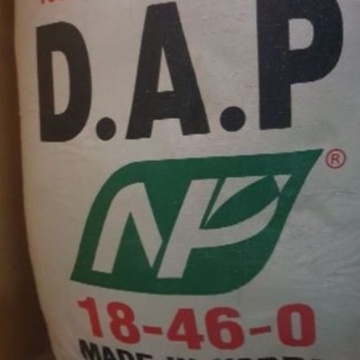 (1kg) Phân Bón DAP hạt đen