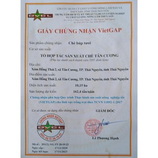 Chè Búp Ngon Tuý Trà 100 gram