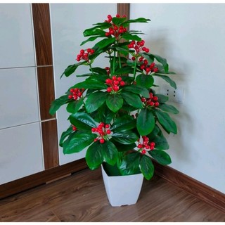 Cây giả, cây kim ngân lượng giả, cây cheery cao 80CM