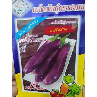 hạt giống cà tím dài nhập khẩu thái lan