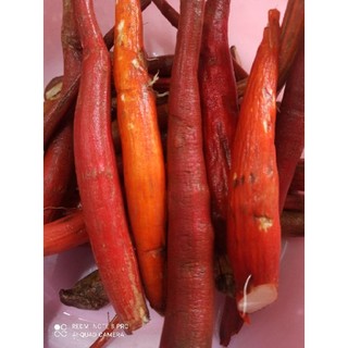 1kg sâm cau đỏ tây bắc 90k