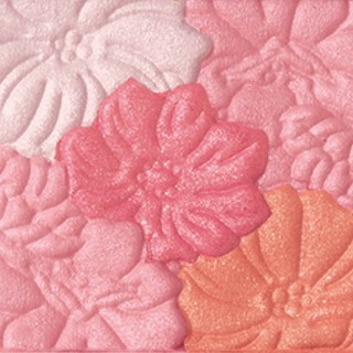 Phấn Má Hồng Canmake Glow Fleur Cheeks 6,3g.#02 Apricot Fleur