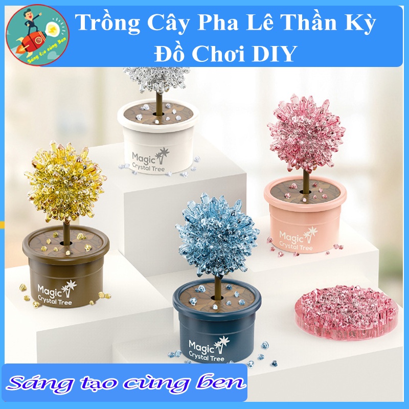 Đồ chơi DIY Trồng cây pha lê thần kỳ DIY, Đồ chơi giáo dục, sáng tạo an toàn cho bé