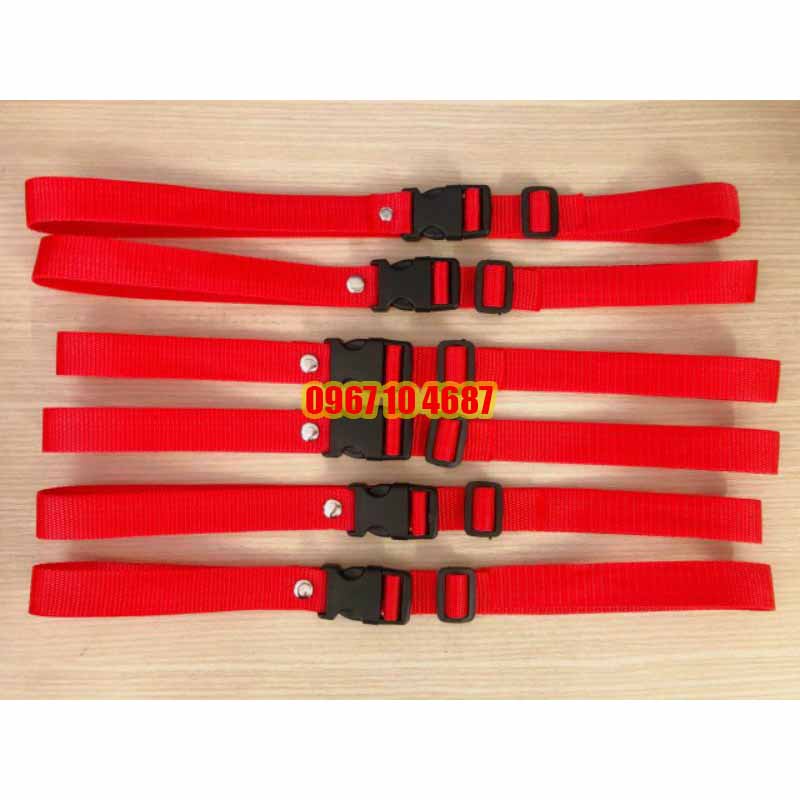 Đai an toàn cho bé đi xe máy