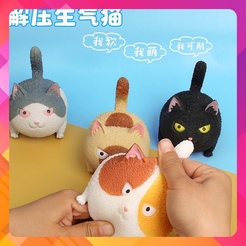 😹Mèo bóp xả stress cute phô mai que