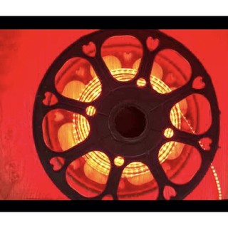 Led dây đơn sắc 3014 các mầu(giá 1m)[Chỉ nguyên dây Led không bao gồm nguồn khiển ]