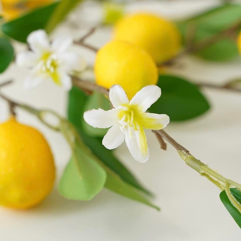 Cành chanh 7 quả, cành chanh Mỹ vàng dài 1m trang trí nhà cửa,cửa hàng,văn phòng,làm đạo cụ chụp ảnh