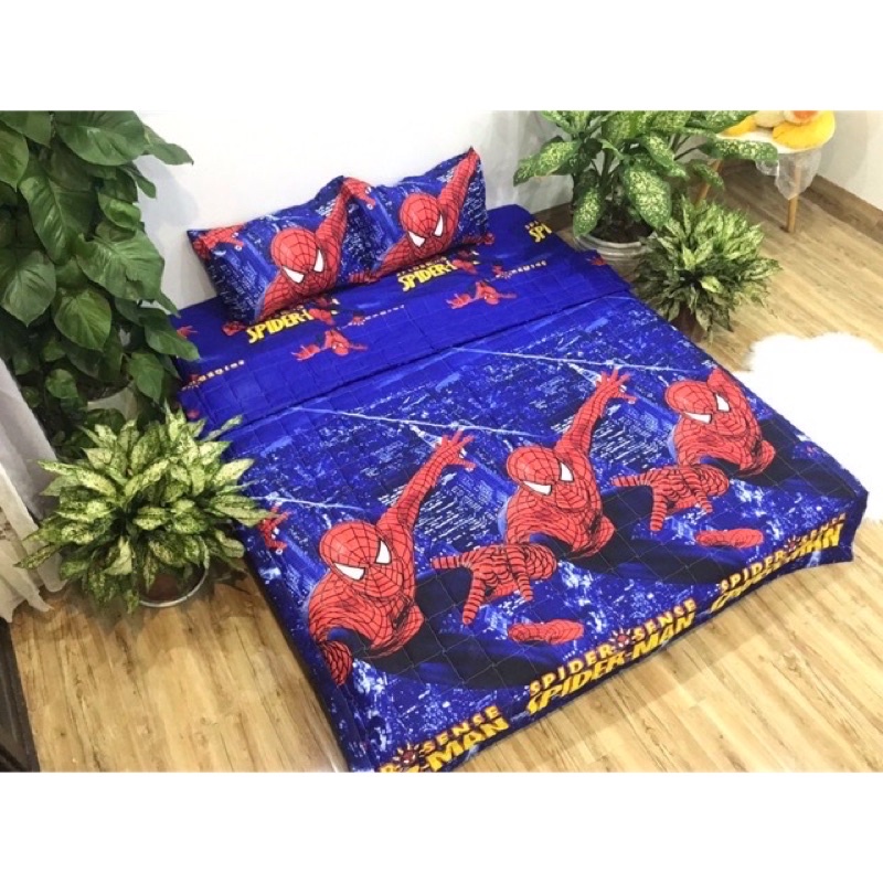 Bộ Ga Gối Cotton Poly 5D - Người Nhện