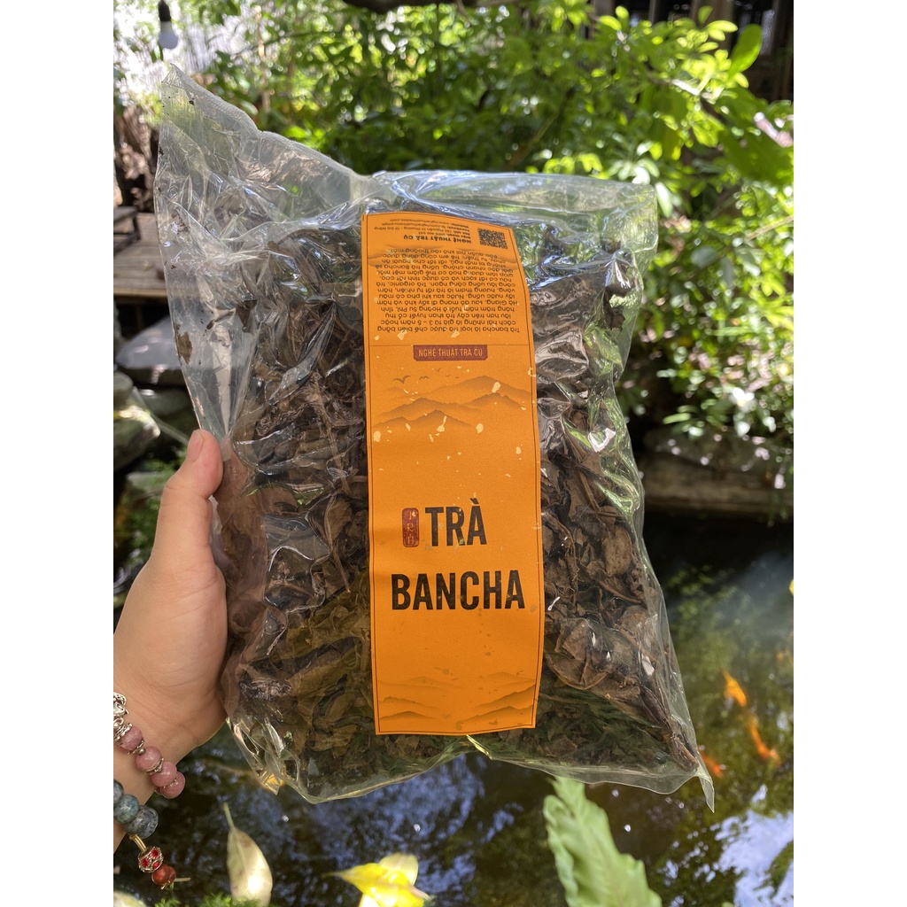 Trà bancha ủ 5 năm từ cây trà cổ thụ 400 tuổi Hà Giang đóng gói 100gr