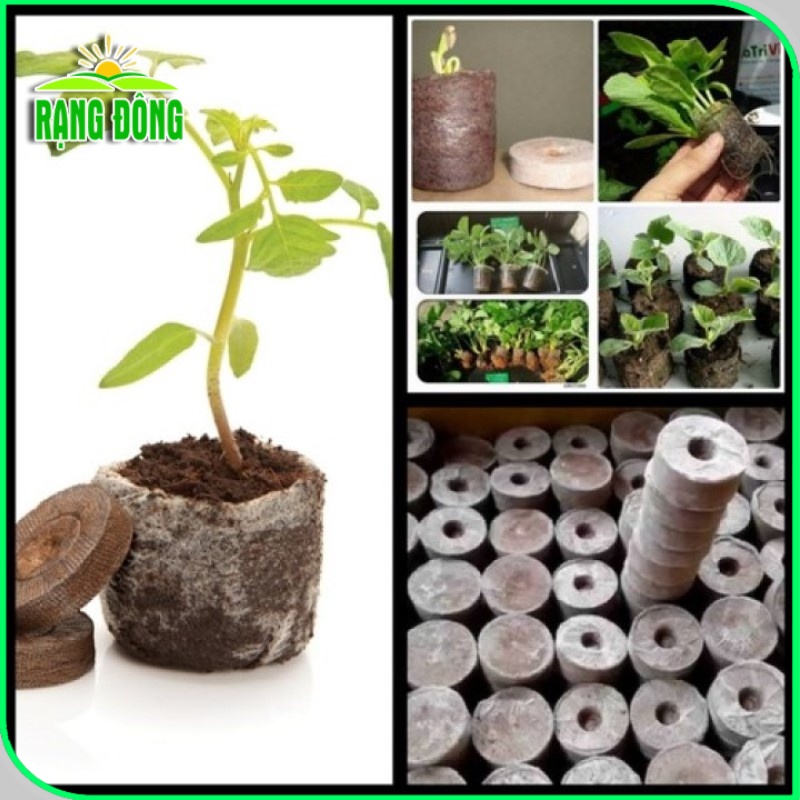 Viên Nén Xơ Dừa ươm Hạt giống (100 viên) viên nén sơ dừa tiện dụng, tiết kiệm thời gian, sạch 100% - Hạt giống Rạng Đông