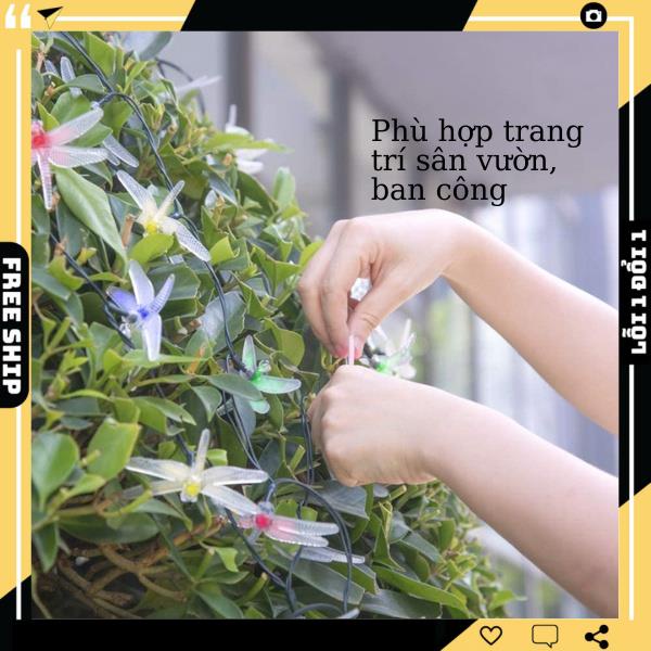 Dây đèn led chuồn chuồn trang trí năng lượng mặt trời chống nước Bobiti