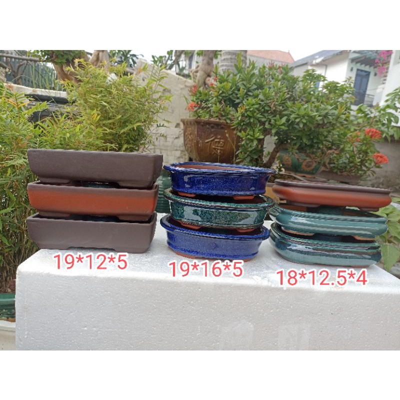 combo 9 chậu bonsai gốm xịn