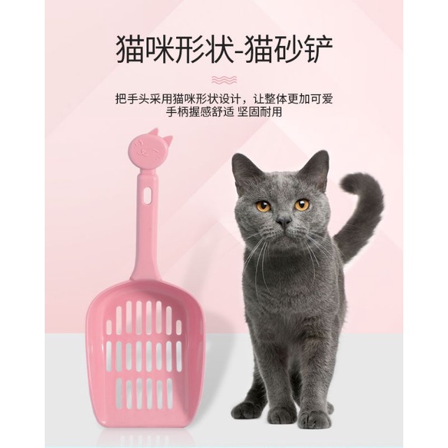 Xẻng xúc cát vệ sinh cho mèo cao cấp Pakeway