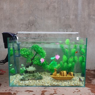 Set bể cá 50 cm với 8 món , 2 phụ kiện sứ to)