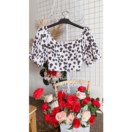 Áo vin dáng croptop