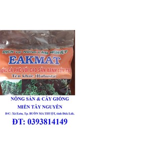 100 gram hạt giống cây cà phê xanh lùn hạt tuyển chọn bao nảy mầm