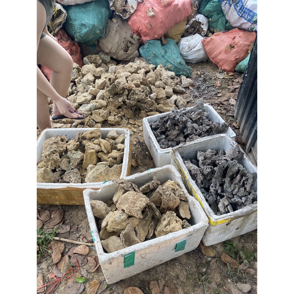 Đá kim đà tai mèo 1kg, đá trí bể cá, tiểu cảnh, thuỷ sinh, sân vườn, non bộ.