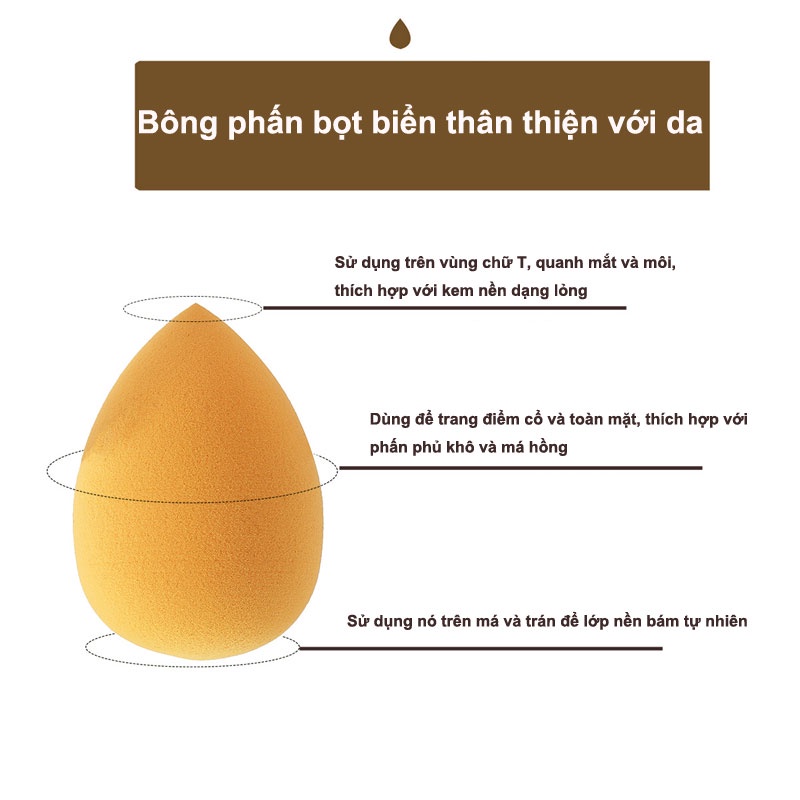 Bông mút trang điểm nhiều màu sắc cho nữ